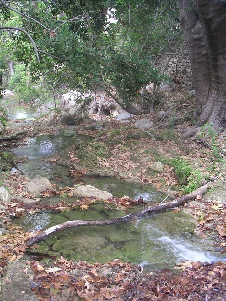 106420848 602940027302805 1055904453528330725 n 106420848 602940027302805 1055904453528330725 n